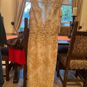 NWT! Gorgeous Dress the Population dress. Size xs.